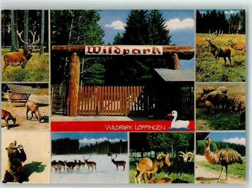 Löffingen Wildpark Mehrfachaufnahme Hirsch Bär Wildschwein