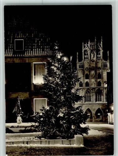 Münster Michaelisbrunnen Rathaus Weihnachtsbaum Winteraufnahme
