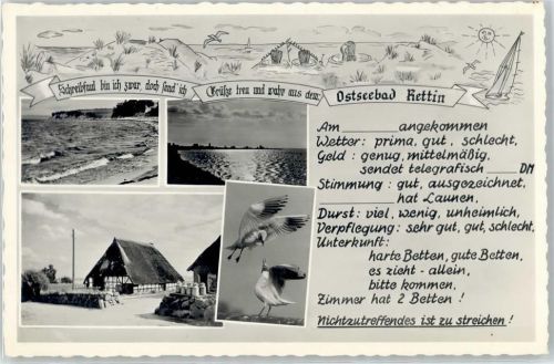 Rettin Gedicht, Meer, Möwen