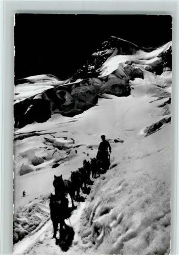 Jungfraubahn Polarhunde mit Rottalhorn Jungfraubahn