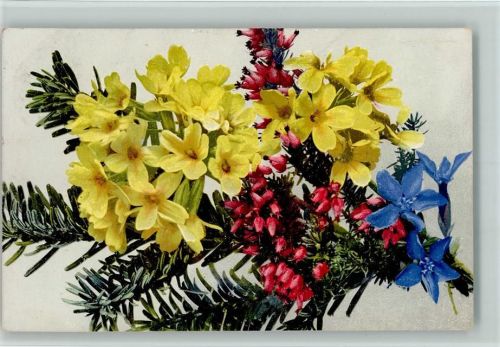 1910 Nr. 470 - Alpenblumen
