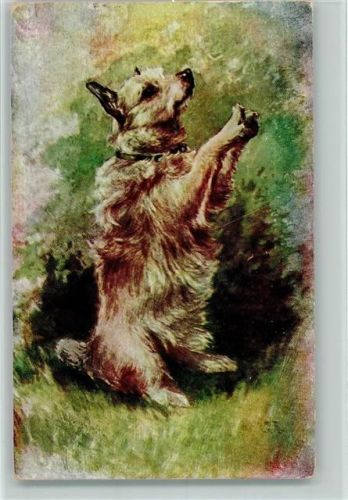 Hund macht Männchen