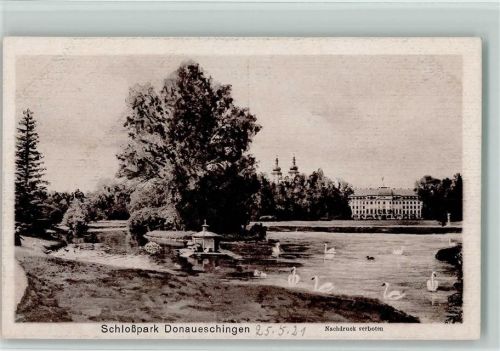 Donaueschingen Schloßpark Schwäne