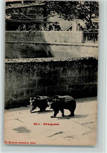 1919 Berner Bären im Bärengraben, Nr. 5588 Photoglob