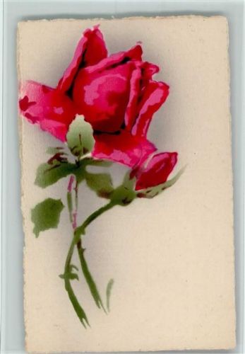 1930 Rosenblüte AK