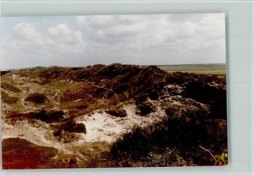 Borkum Ostland
