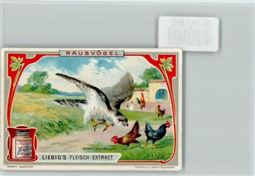 1898 Hühnerhabicht, Sammelbild Liebig