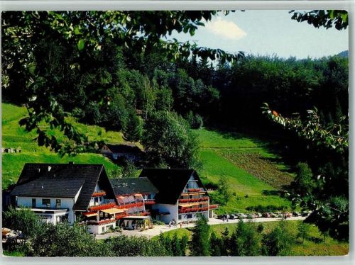 Bad Peterstal Sporthotel Dollenberg