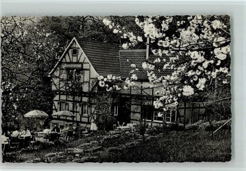 Oberdollendorf Café Restaurant Idyllenmühle Baumblüte Fachwerkhaus