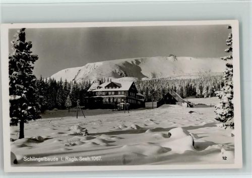1940 Winter - Verlag Kleeberg Nr. 12, Schlingelbaude , sehr gute Erhaltung AK