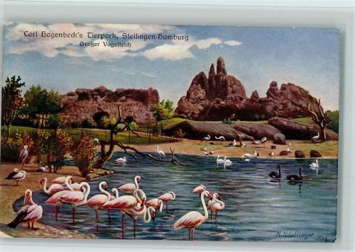 Hamburg Carl Hagenbeck's Tierpark Großer Vogelteich Flamingos sign. Höpflinger