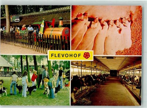 Biddinghuizen Flevohof Schwein Ferkel Ziegen Kühe Kleinbahn