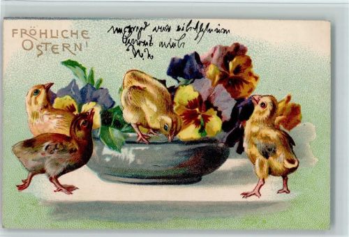 Ostern - Blüten in einer Schale, Küken sind neugierig AK Huhn 1903 Prägedruck