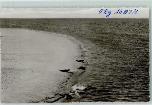 St. Peter-Ording Fliegeraufnahme Seehundsbank