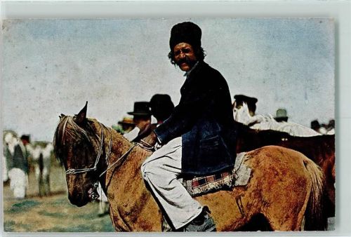 Pferd