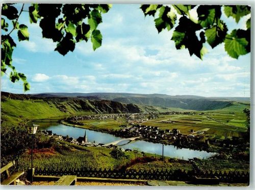 54498 W5555 Piesport - Mosel