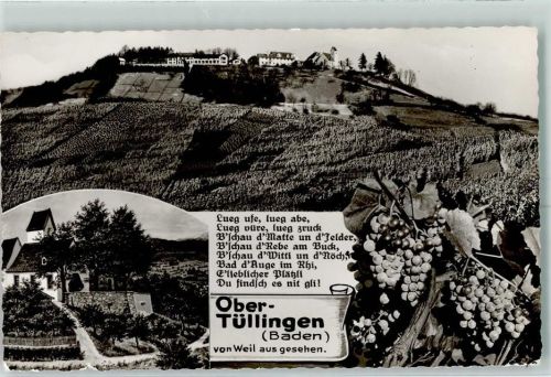 Tüllingen Weinreben