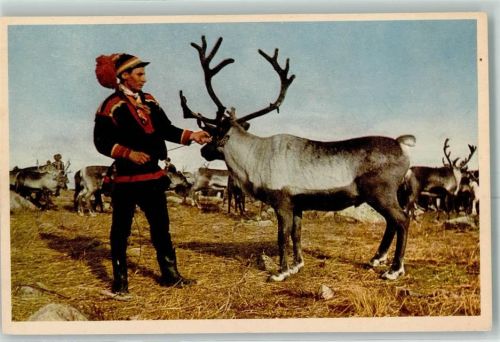 Kiruna Tracht Rentier