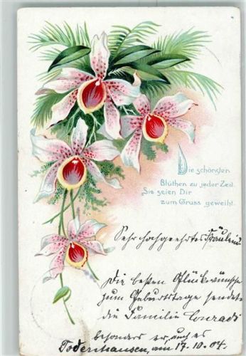1904 Die schönsten Blüten Poesie AK