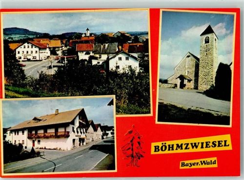 Böhmzwiesel Rückseite mit Abschürfungen bzw Kleberesten
