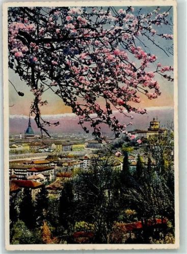 Torino Baumblüte