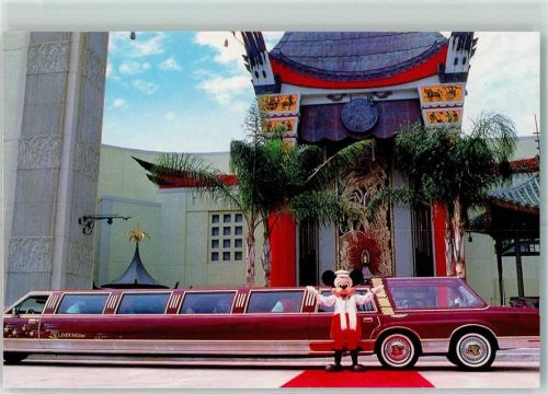 Silver Springs Disneyland MGM Studios Florida Limousine AK