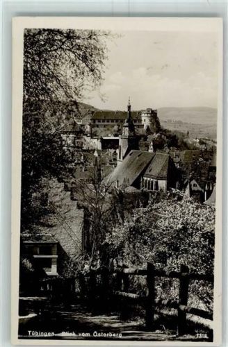 Tübingen Blick vom Österberg