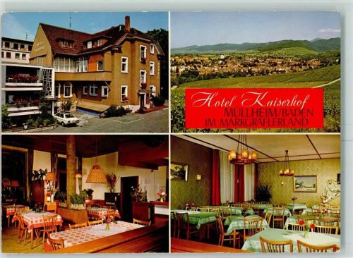 Müllheim Hotel Kaiserhof Innenansicht Weinreben