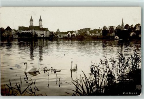Bad Waldsee Bodensee Schwäne