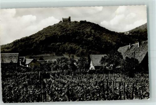 Neustadt Hambacher Schloss