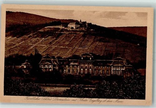 Miltenberg Fürstliches Schloss Löwenstein mit Kloster Engelberg ob dem Main