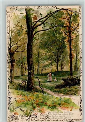 Sonnenschein Postkarte Serie - Spaziergang im Wald