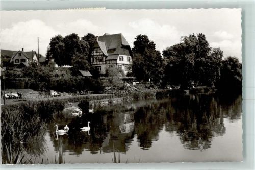 Bad Waldsee Ufer Schwan Fachwerkhaus