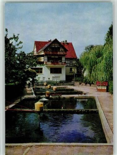 Kleinkahl Kahlquelle Gasthaus Forellenhof Forellenbecken