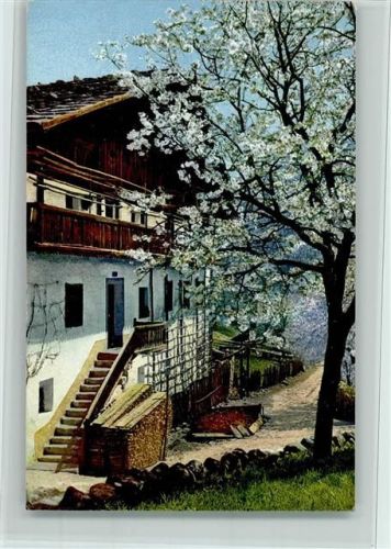 Serie 144 Nr. 2707 - Obstblüte in Tirol, Bauernhaus - gute Erhaltung AK