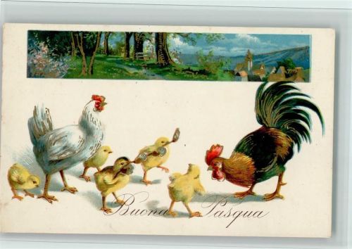 1936 Ostern - Buona Paqua - Hühner, Hahn und Küken , gute Erhaltung