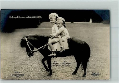 Nr. 2229 Photochemie - Söhne des Kronprinzenpaares auf einem Pony AK Gute Erhaltung Adel Foto AK