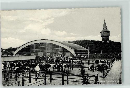 25813 W2250 Husum , Nordsee - Viehmarkt Rinder Wasserturm