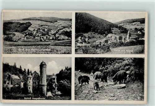 Heimbuchenthal 1940 Schloss Mespelbrunn Wildschweine