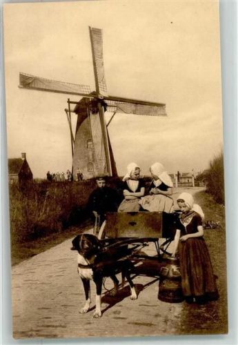 Zeeland Windmühle Hundekarren Tracht
