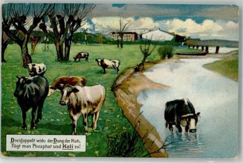 Das ABC des Landmanns Kalisyndikat Kühe