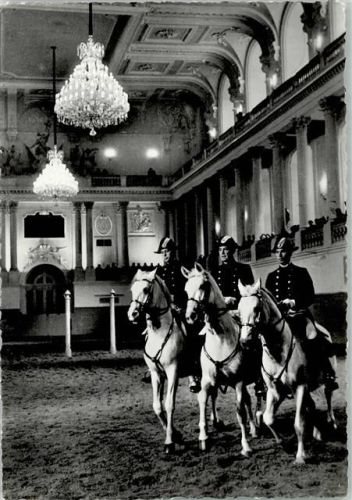 Wien - Spanische Reitschule 1958 AK