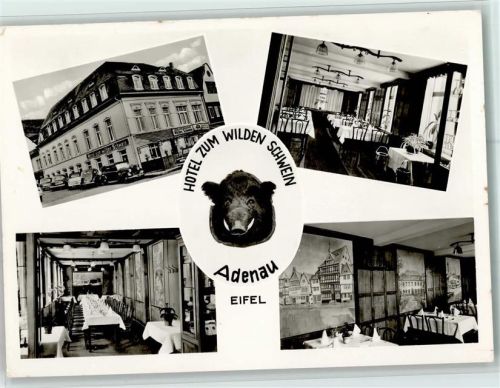 Adenau Hotel Zum wilden Schwein Innenaufnahmen 4-Bidlaufnahme Wildschweinkopf