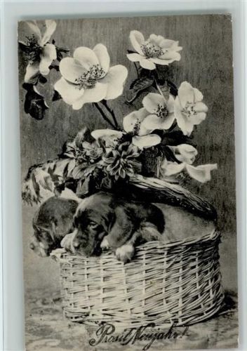 Welpen in einem Korb 1908 AK