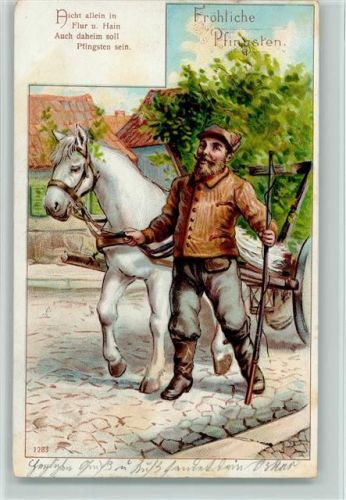 Bauer mit seinem Pferdegespann 1903
