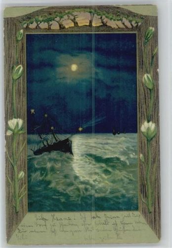 Seerosen - Schiff beleuchtet - Litho 1901 AK