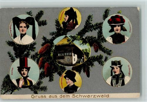 Gruss aus dem Schwarzwald, versch. Trachten, Tannenzapfen 1913 AK