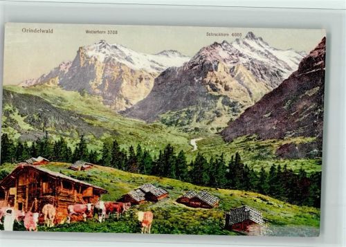 Grindelwald Wetterhorn Schreckhorn