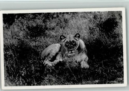 Foto ca 1935 AK