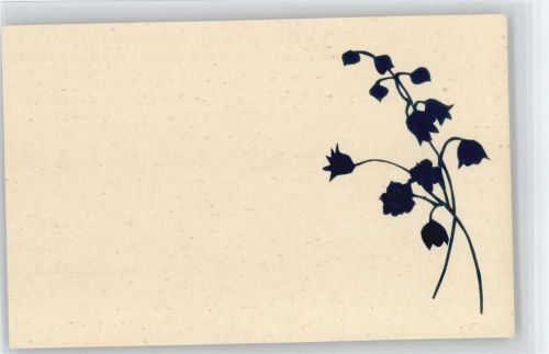 Bild aufgeklebt - ca 1900 AK